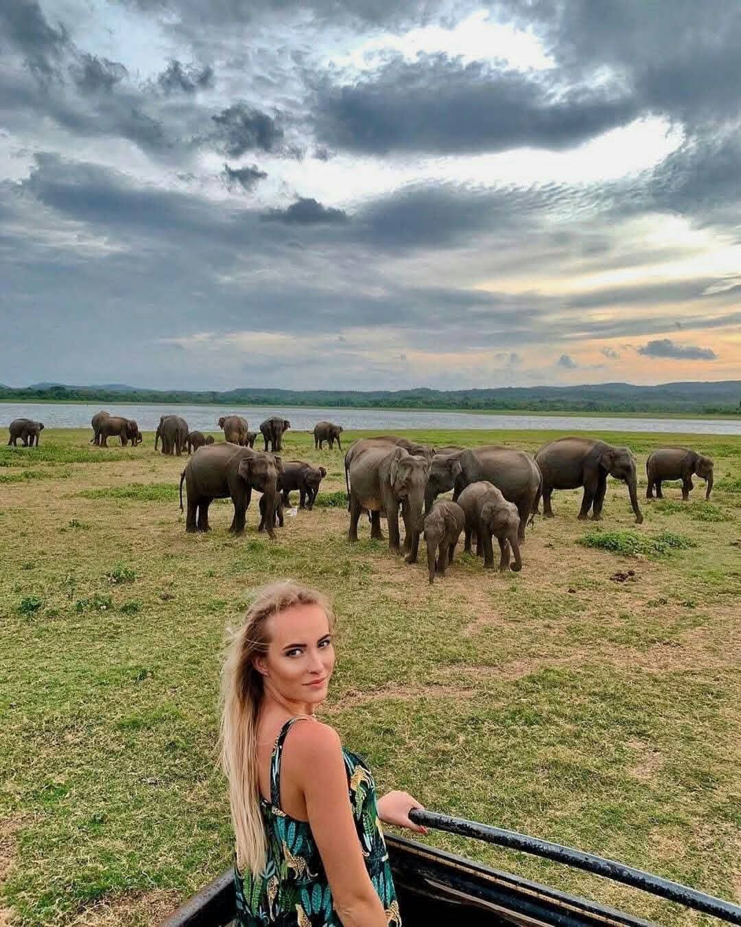 野生への深いダイブ